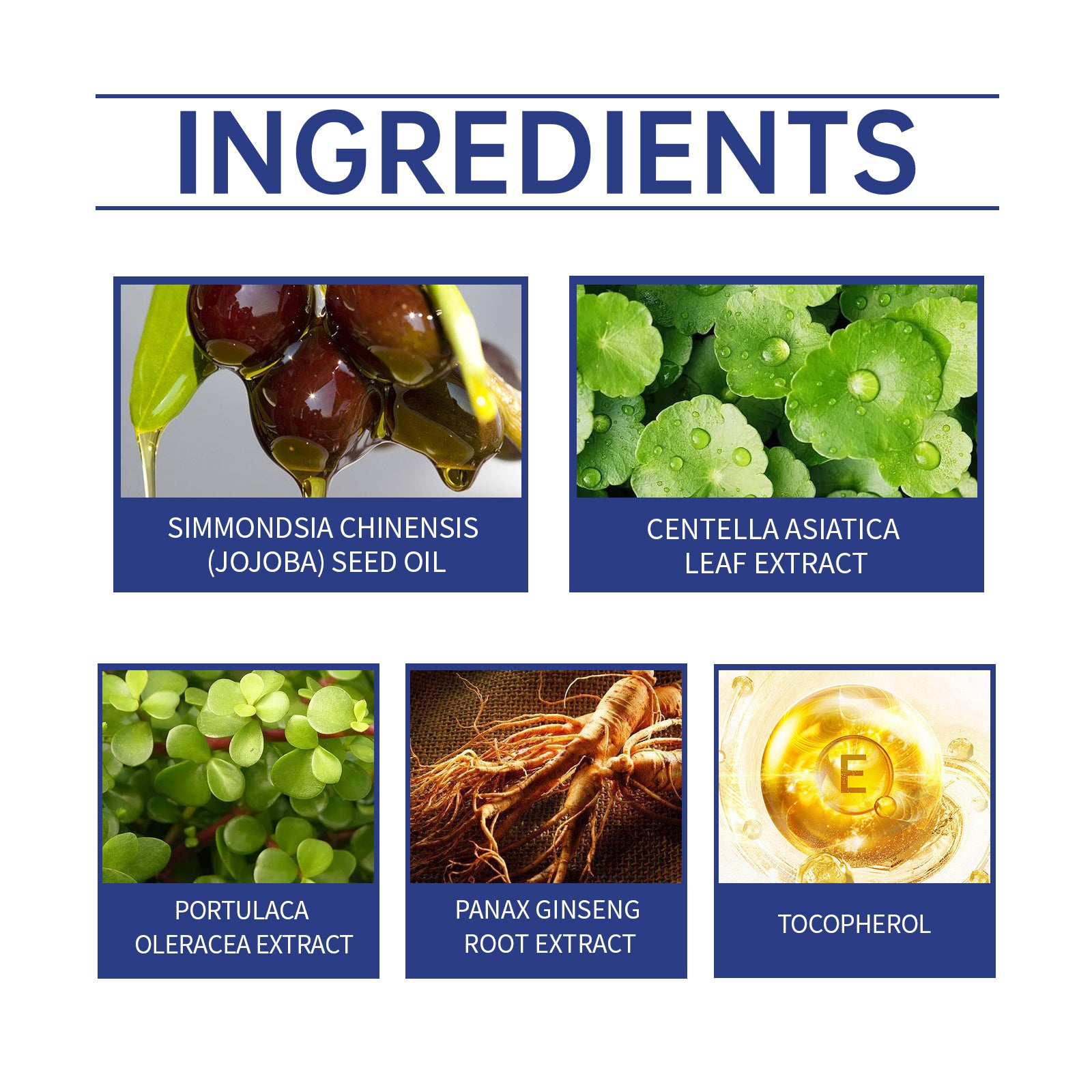 16da25eff7feef9df8c440325af51b47