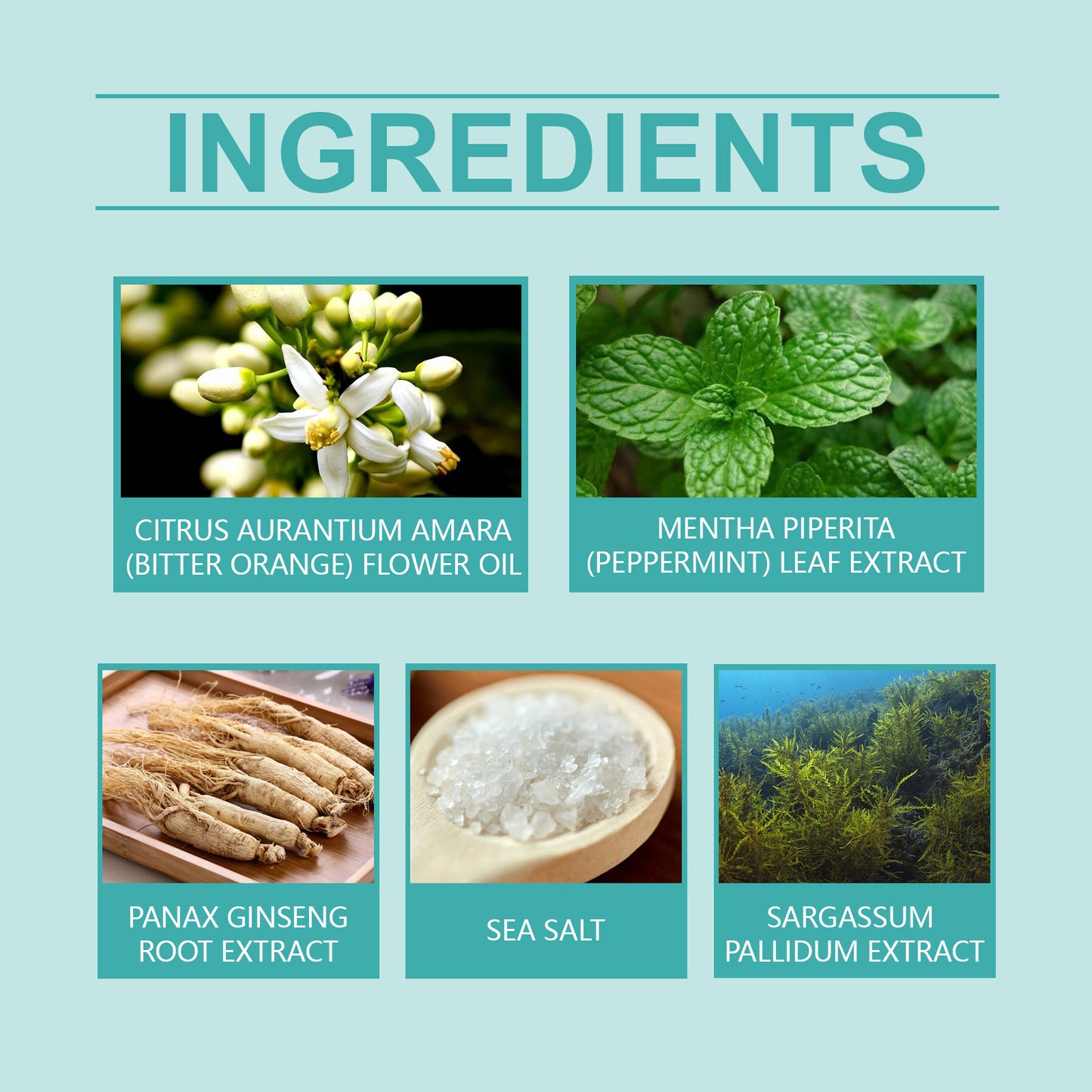 c58702b575b510f19b30c061ca8d262d