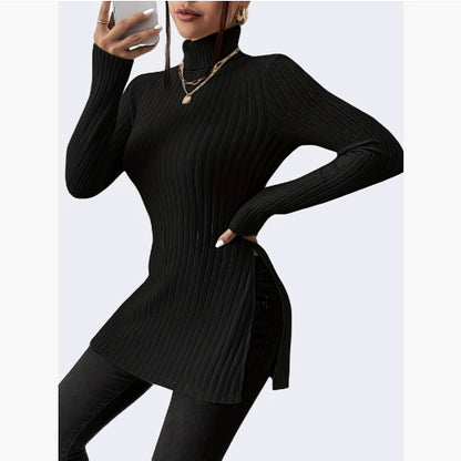 Women's Turtleneck Pullover Clothing Sweater