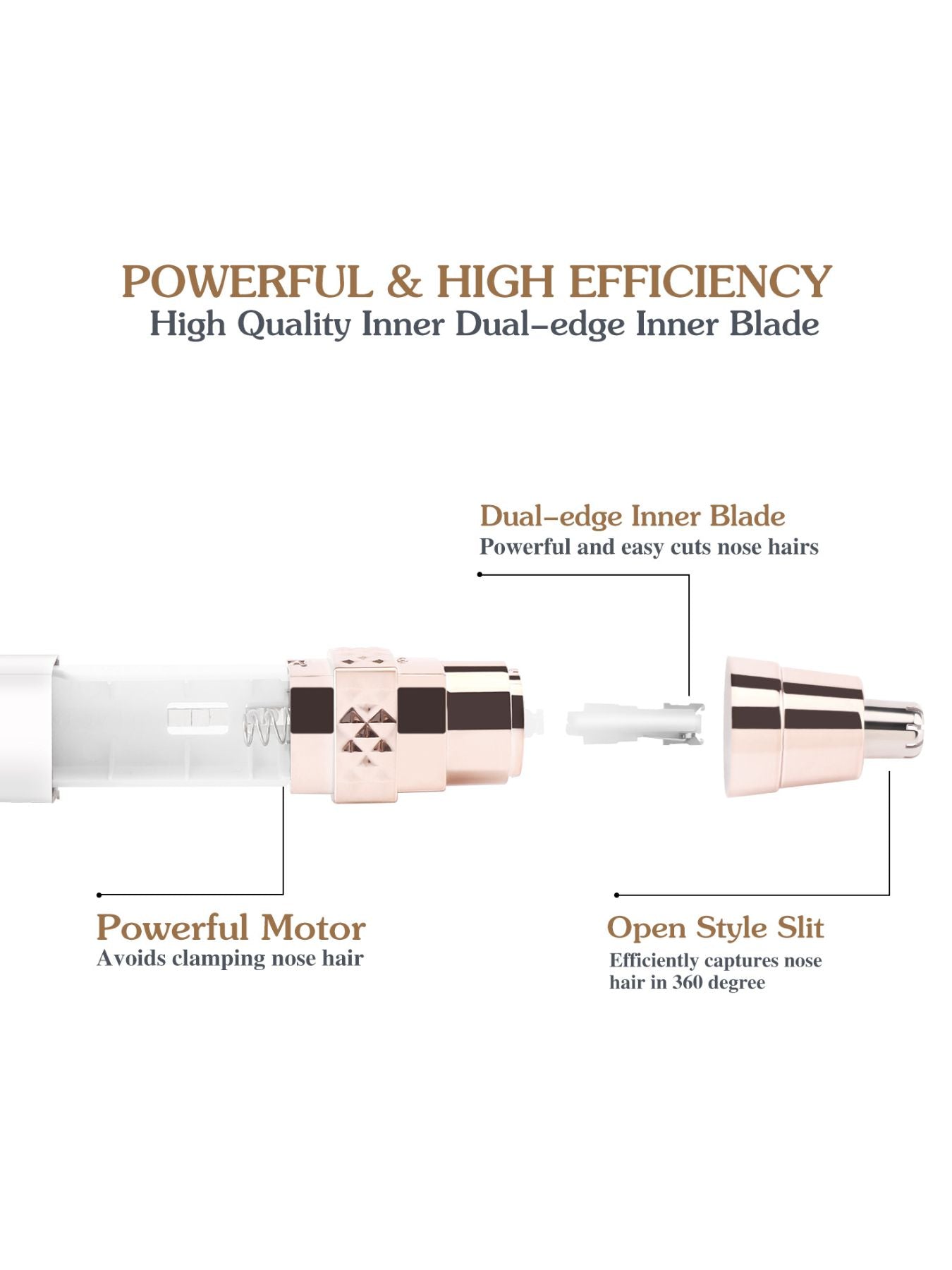 aea7024d-9154-4eae-b4a3-bd0e27adf64f-Max